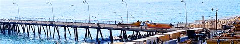 matsyafed fish online